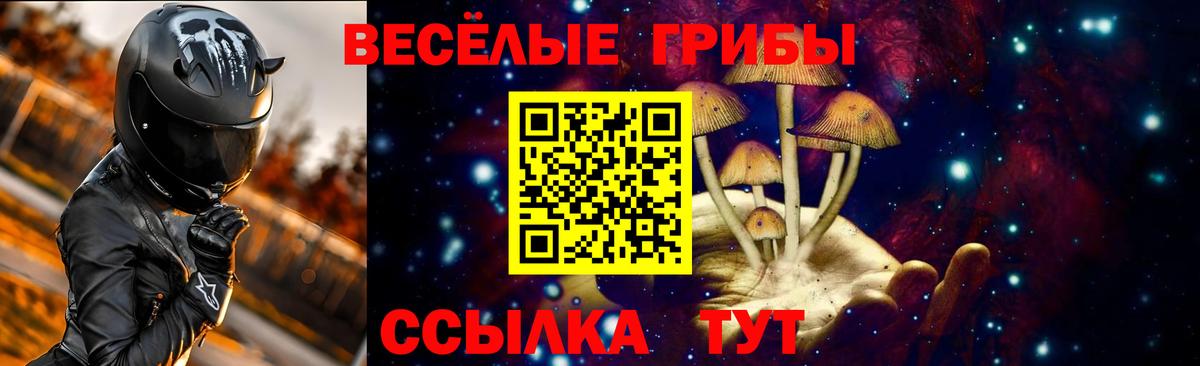 Галлюциногенные грибы прущие грибы Красный Сулин