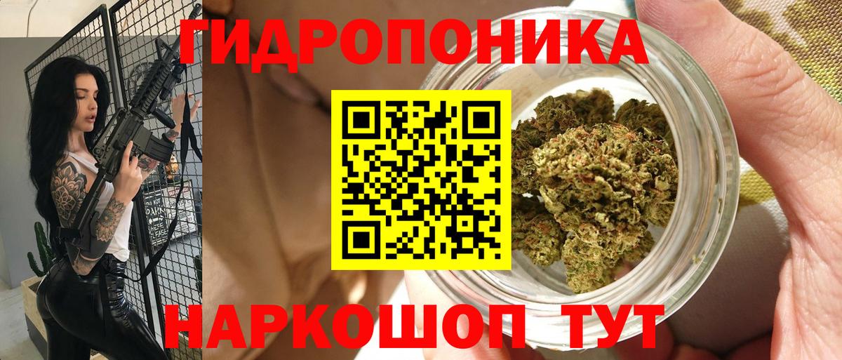 Марихуана семена Красный Сулин